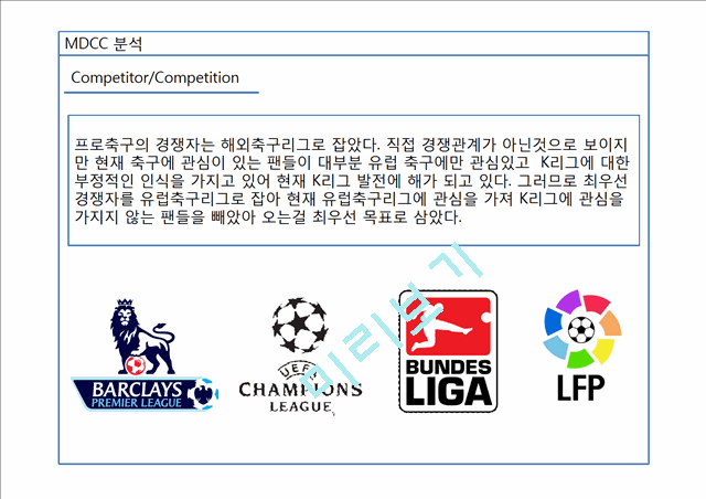 K-League Classic 의 마케팅 방안   (8 )